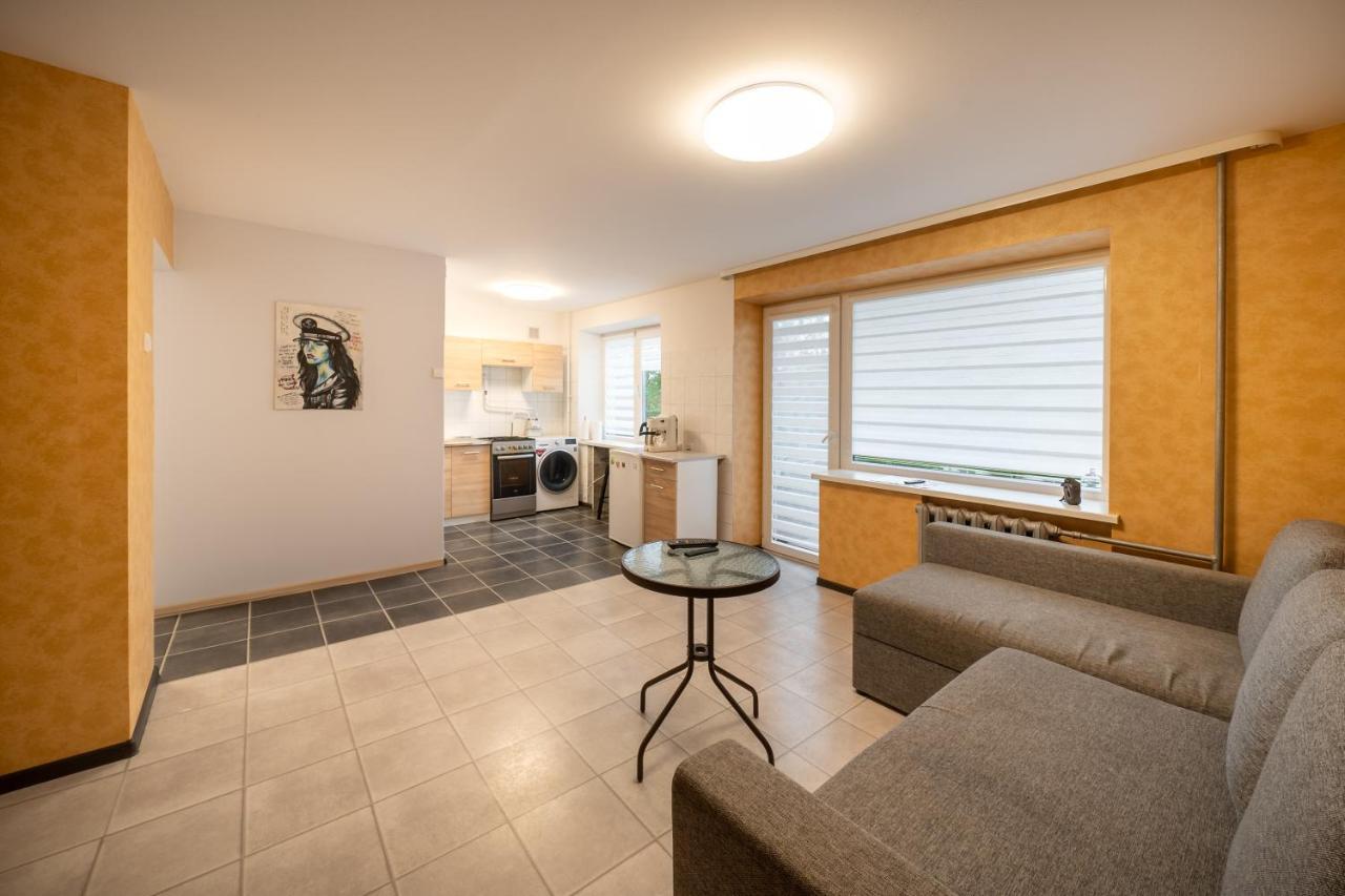 Wonderful Apartment In The City Center Szawle Zewnętrze zdjęcie